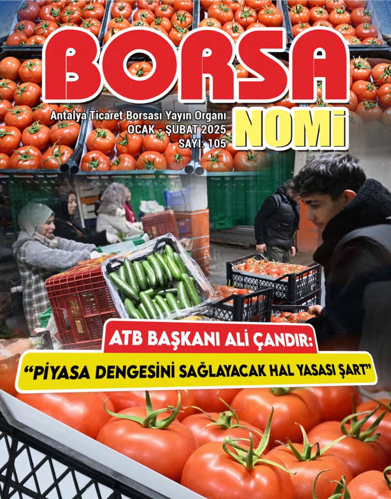 Ocak - Şubat 2025