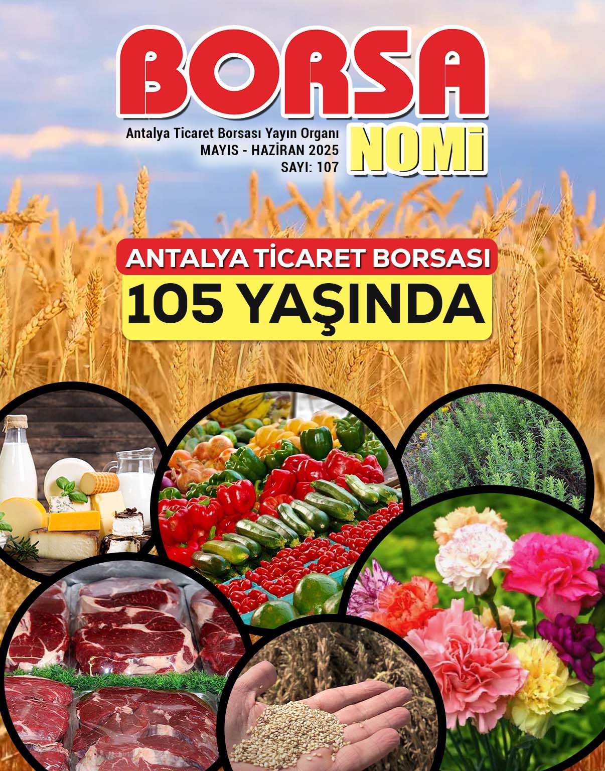 Mayıs - Haziran 2025