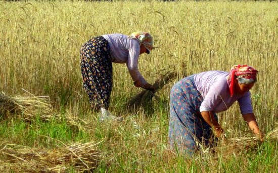 ATB BAŞKANI ALİ ÇANDIR ÇİFTÇİLER GÜNÜNÜ KUTLADI