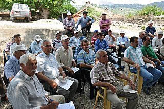 Tıbbi aromatik bitkilerde verim kaybı azalıyor