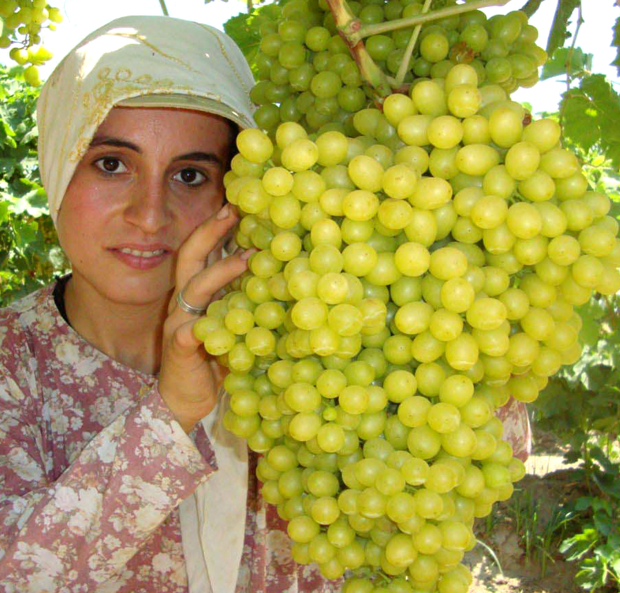 İZMİR COĞRAFİ İŞARETLİ YÖRESEL ÜRÜNLERİYLE YÖREX TE