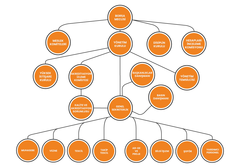 Organizasyon Şeması