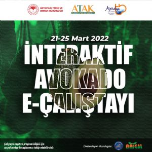 Avokado Uluslararası Çalıştayda Konuşulacak