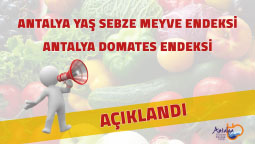 ANTALYA TİCARET BORSASI OCAK AYI HAL ENDEKSİNİ AÇIKLADI