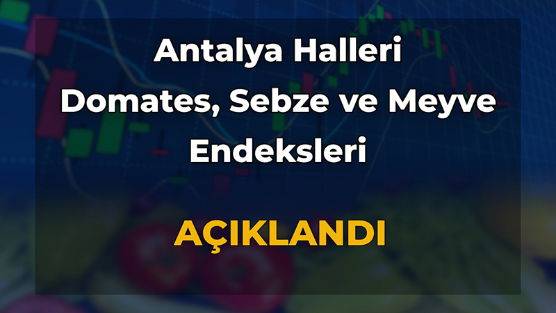 ANTALYA TİCARET BORSASI ARALIK AYI HAL ENDEKSİNİ AÇIKLADI