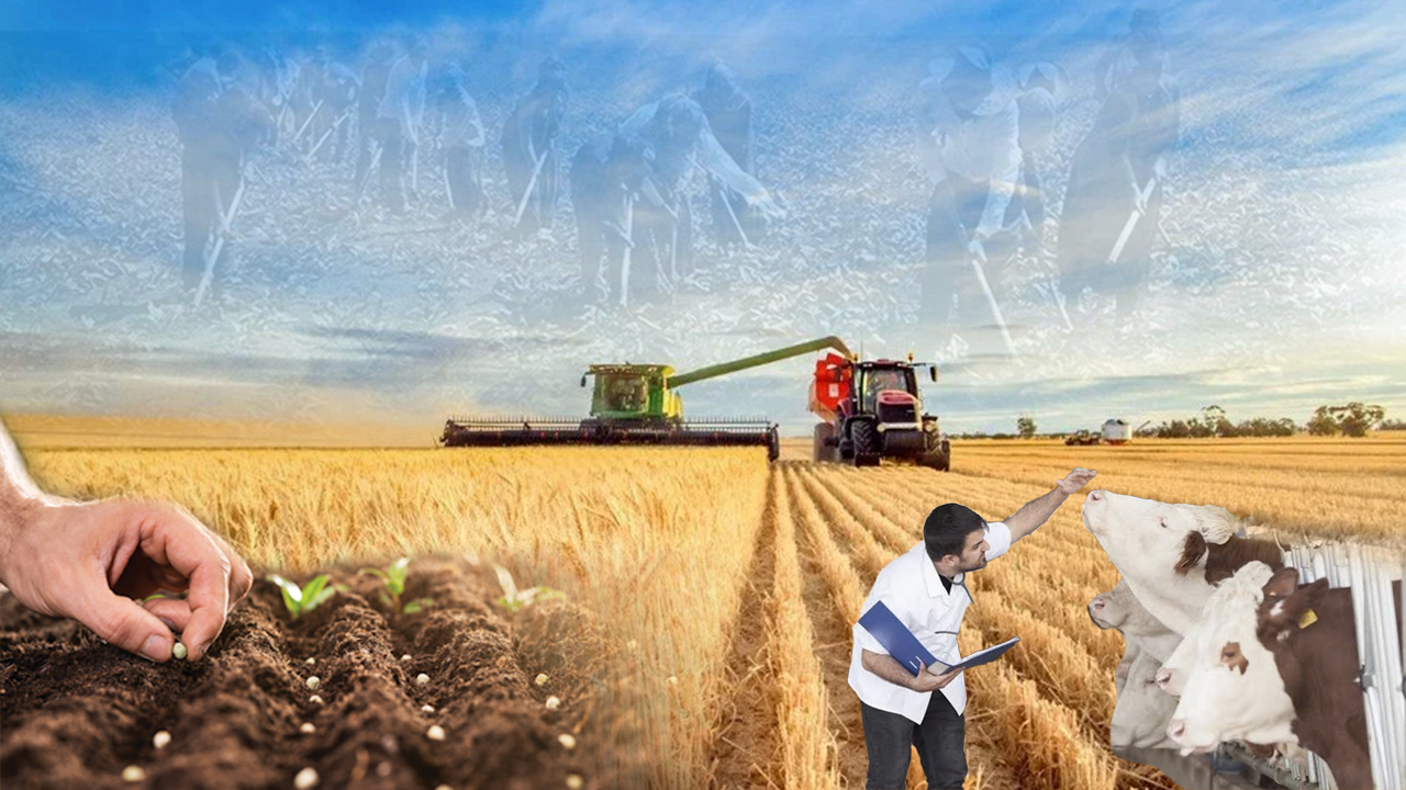 TARIM ENFLASYONU AYLIKTA DÜŞTÜ YILLIKTA ARTIŞTA