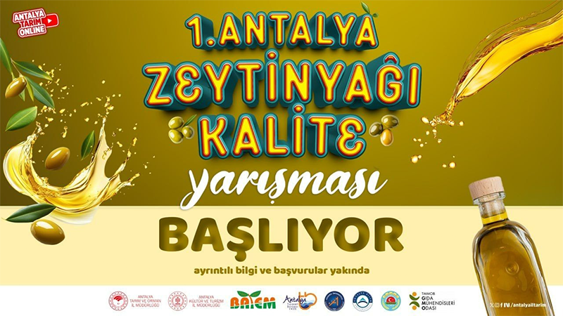 ANTALYA’NIN SIVI ALTINI YARIŞACAK  ZEYTİNİN İZİNDE, KALİTENİN PEŞİNDE