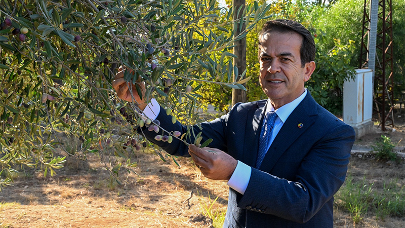 ZEYTİNYAĞI KALİTE YARIŞMASI İÇİN SON GÜN 15 OCAK