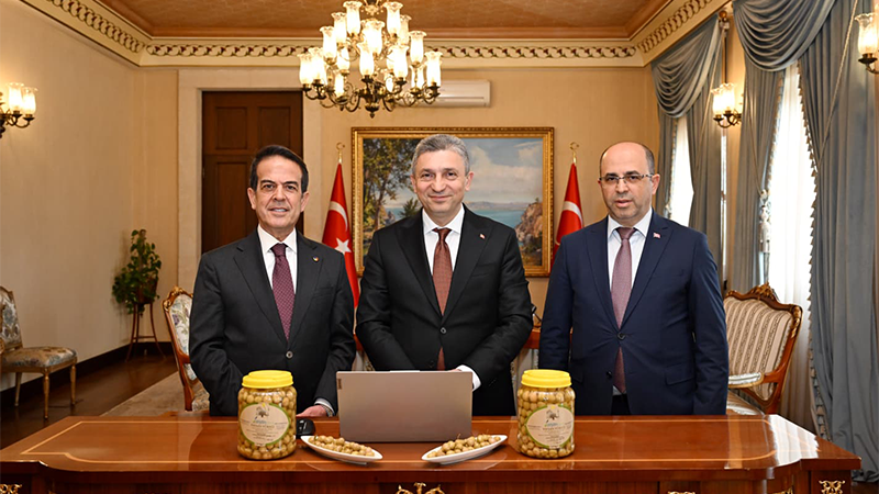 TAVŞAN YÜREĞİ ZEYTİNİ AVRUPA BİRLİĞİ YOLUNDA