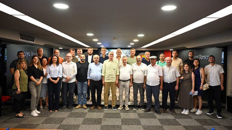 ZEYTİNDE REKOLTE BEKLENTİSİ YÜZDE 40 ARTTI