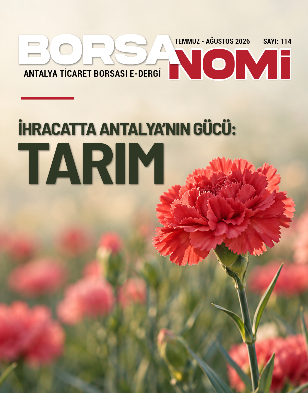 Temmuz - Ağustos 2026