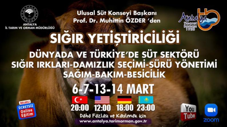 PROFESÖRDEN ÇOBANLIK DERSİ