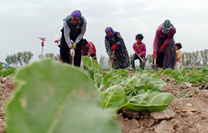 ALİ ÇANDIR İSTİHDAM RAKAMLARINI DEĞERLENDİRDİ