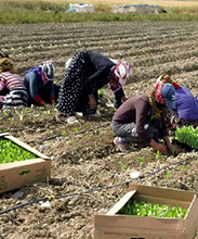 ENFLASYONLA MÜCADELENİN ANAHTARI ÜRETİM